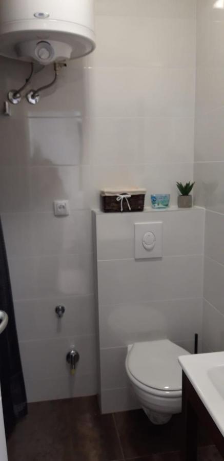 Apartments Flanaticus プーラ エクステリア 写真