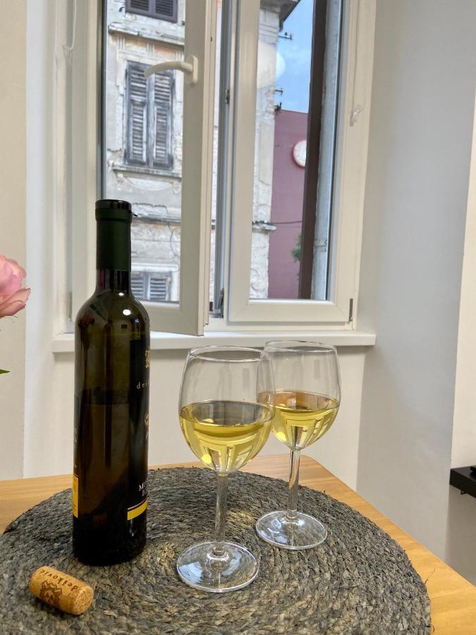 Apartments Flanaticus プーラ エクステリア 写真